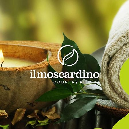 Il Moscardino Country Resort Серра-Сан-Бруно Экстерьер фото